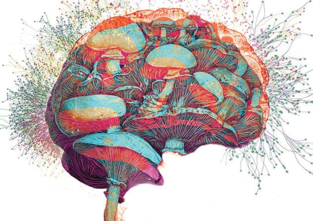 An abstract illustration of mushrooms intertwined with neural pathways.